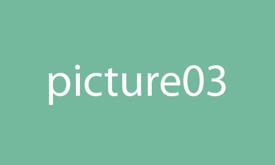 Picture 3