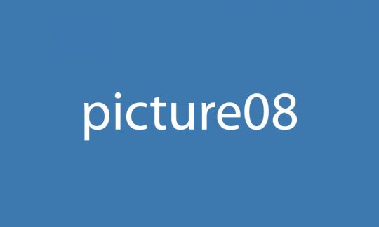 Picture 8