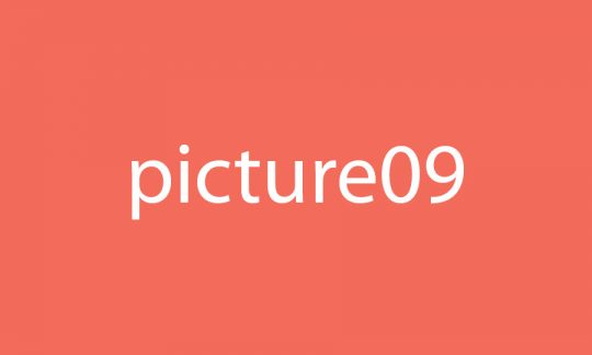 Picture 9