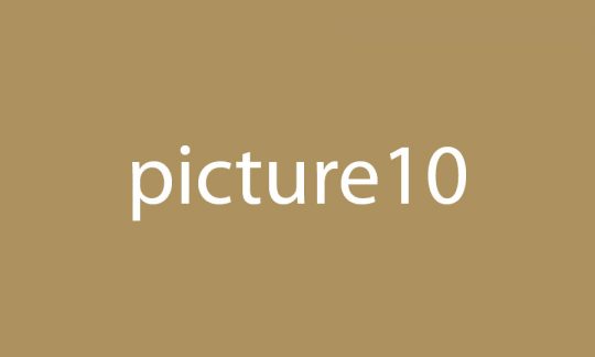 Picture 10