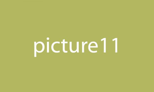 Picture 11
